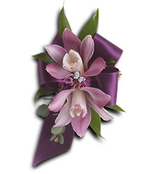 Exquisite Orchid 